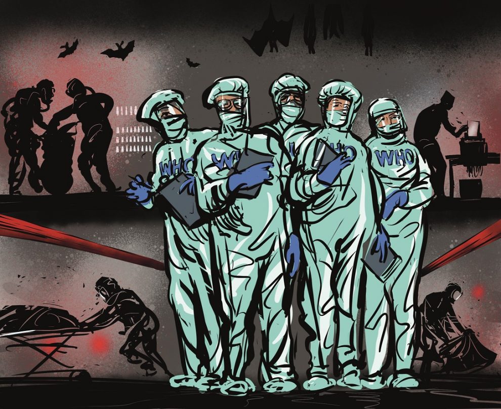 Pandemie po dvou letech: Pátrání po původu pokračuje