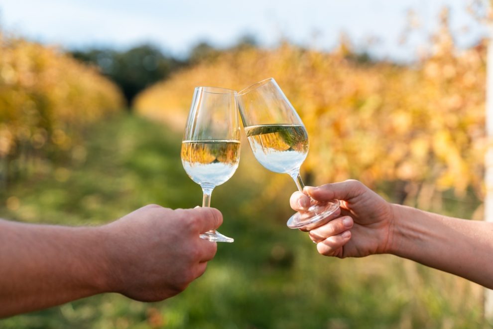 Vinaři představili Road mapu pro budoucnost českého vinařství